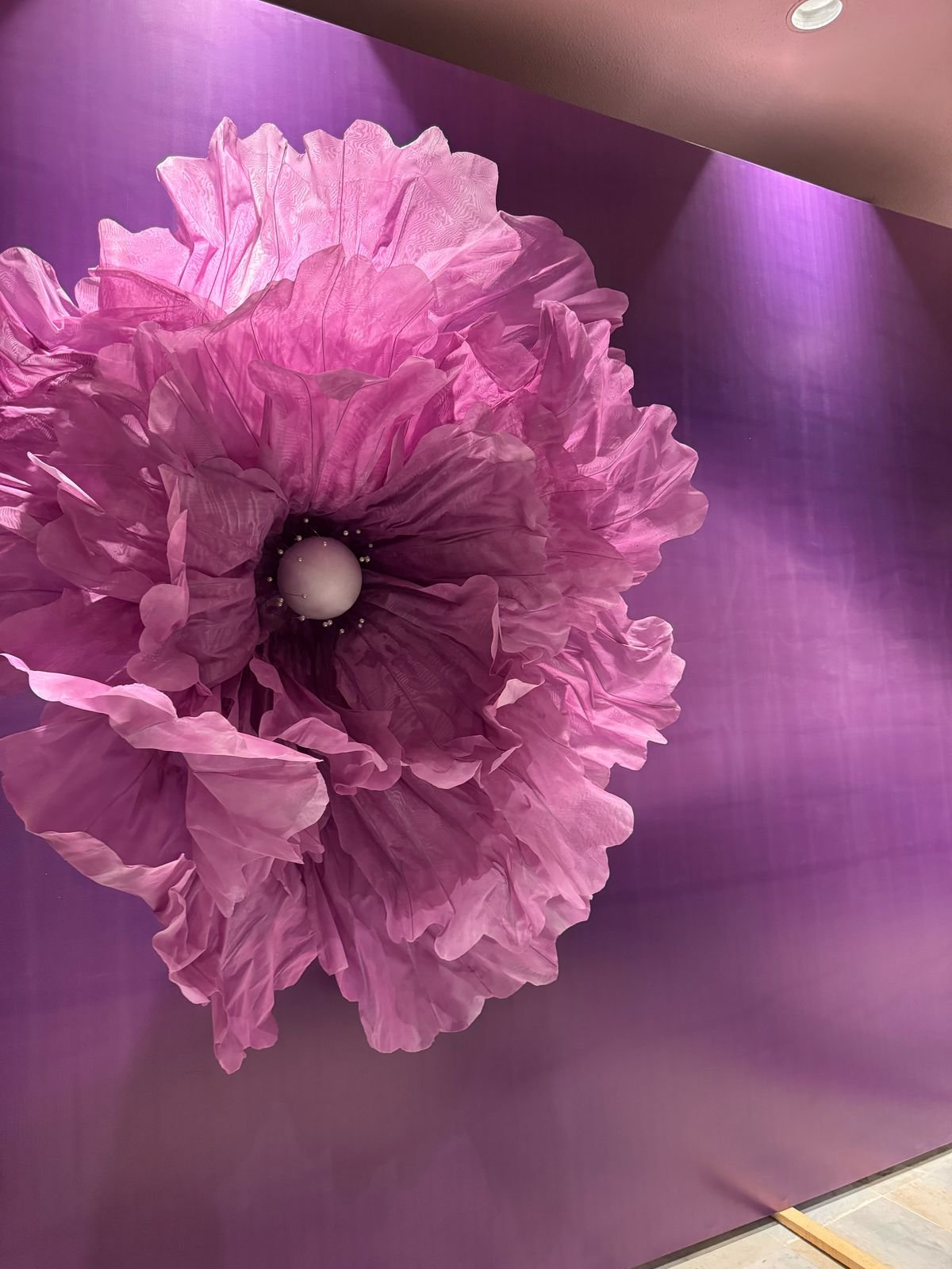 Peonia 2MD